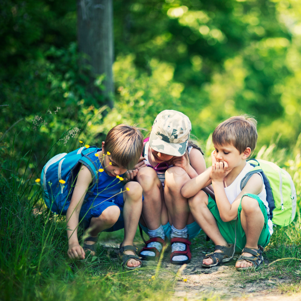 Nature Inspired Stories